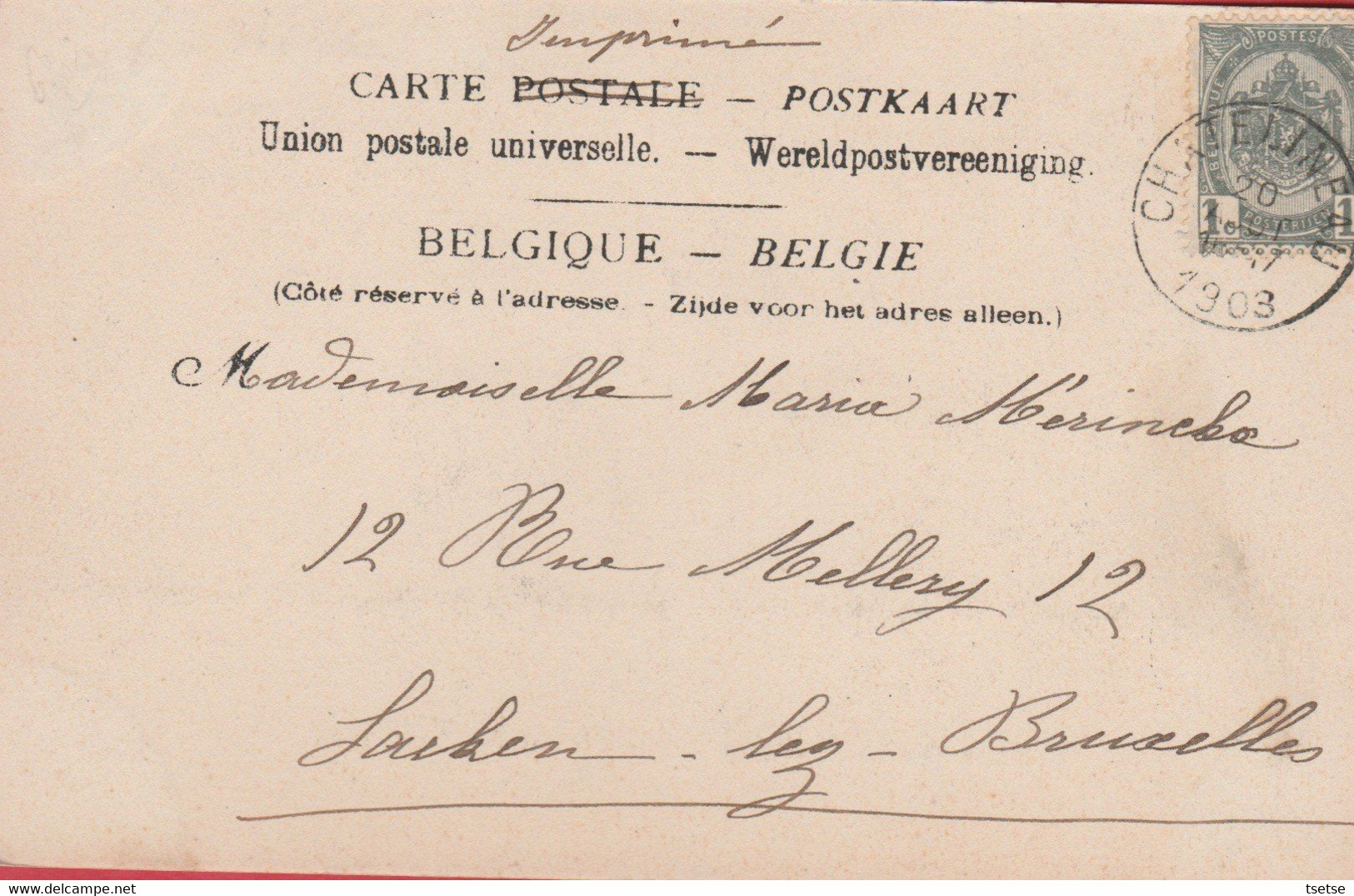 Châtelineau - Sté Ame De Marcinelle Et Couillet - Laminoirs -1903 ( Voir Verso ) - Chatelet