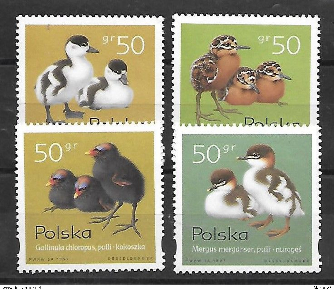 Pologne Polska Poland - Yvert 3469 à 3472** - 4 Valeurs  - Oisillons - 1997 - Neufs