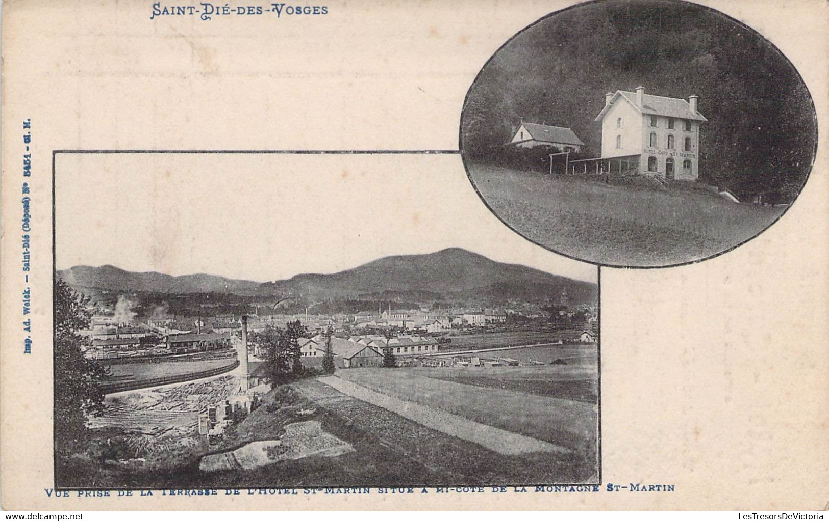 CPA FRANCE - 88 - SAINT DIE - Vue Prise De La Terrasse De L'Hôtel St Martin - Facture Au Dos Hôtel - 28/07/1906 - Saint Die