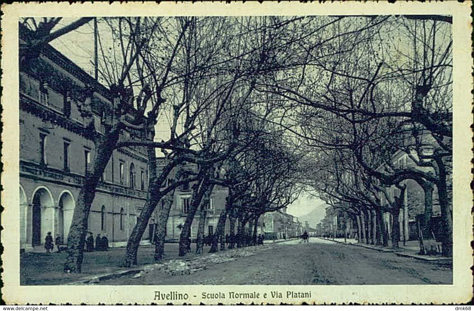 AVELLINO - SCUOLA NORMALE E VIA PLATANI - EDIZ. SARCHIOLA - SPEDITA 1917 (12672) - Avellino