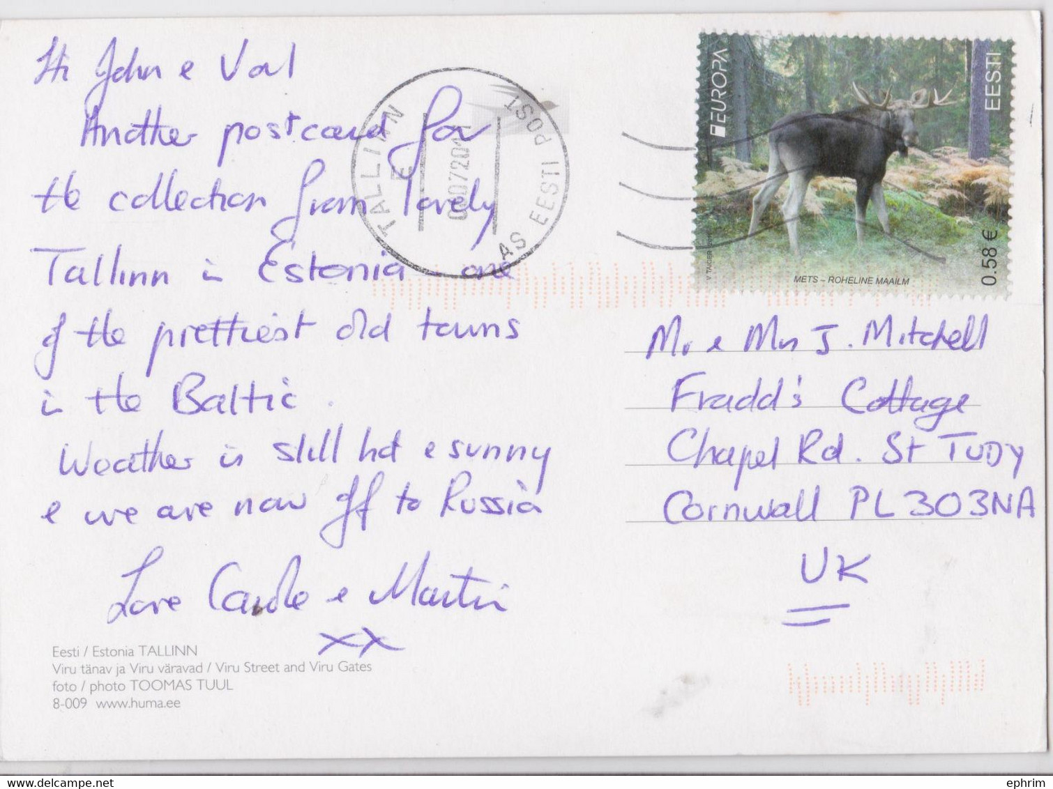 Estonie Eesti Carte Postale Affranchissement Timbre Grand Format Large Size Stamp Franking Postcard - Estonie