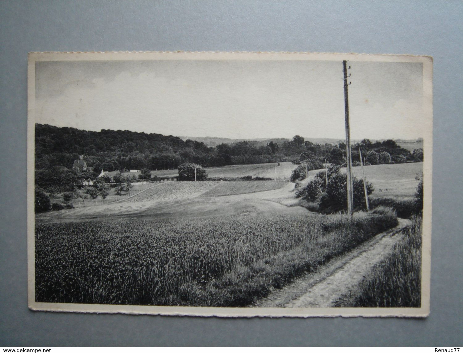 Roisin - Panorama - Honnelles