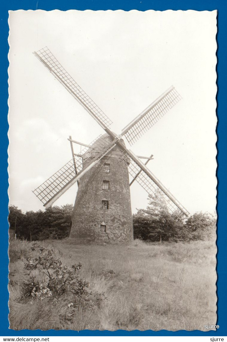 KASTERLEE - Molen - Kasterlee