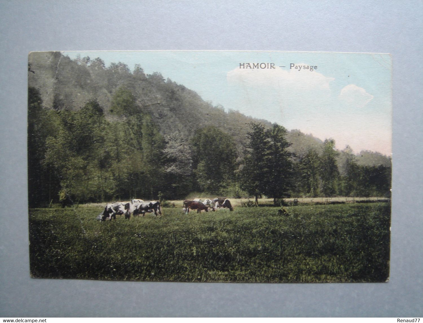 Hamoir - Paysage - Hamoir