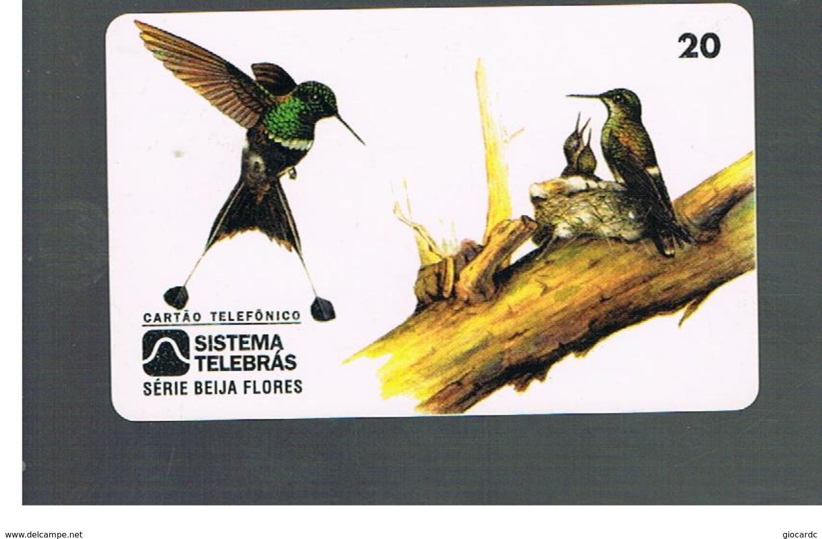 BRASILE ( BRAZIL) - TELEBRAS   -   1997  BIRDS: DISCOSURA LONGICAUDA           - USED - RIF.10542 - Uccelli Canterini Ed Arboricoli