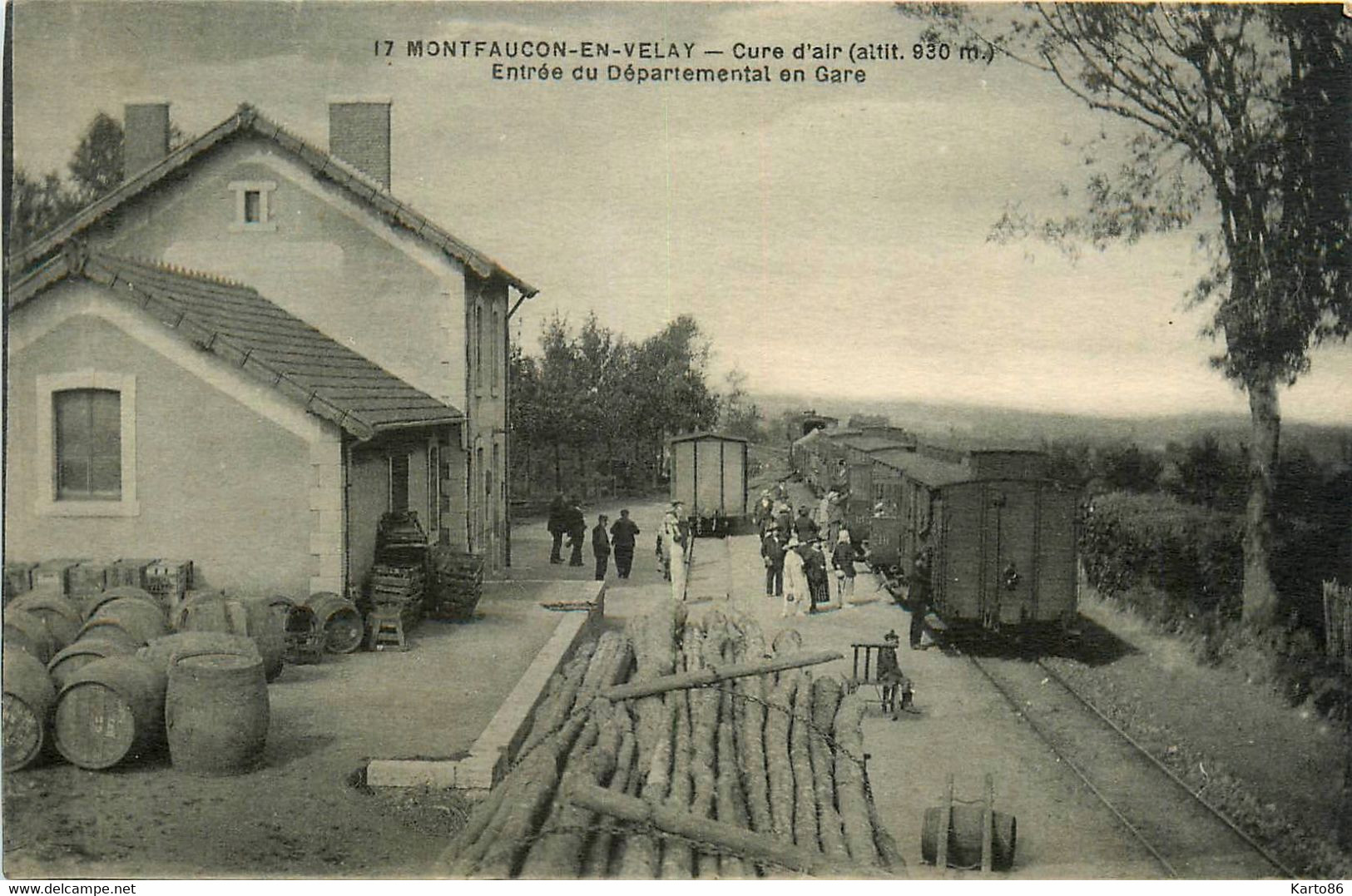 Montfaucon En Velay * Entrée Du Train Départemental En Gare * Ligne Chemin De Fer - Montfaucon En Velay