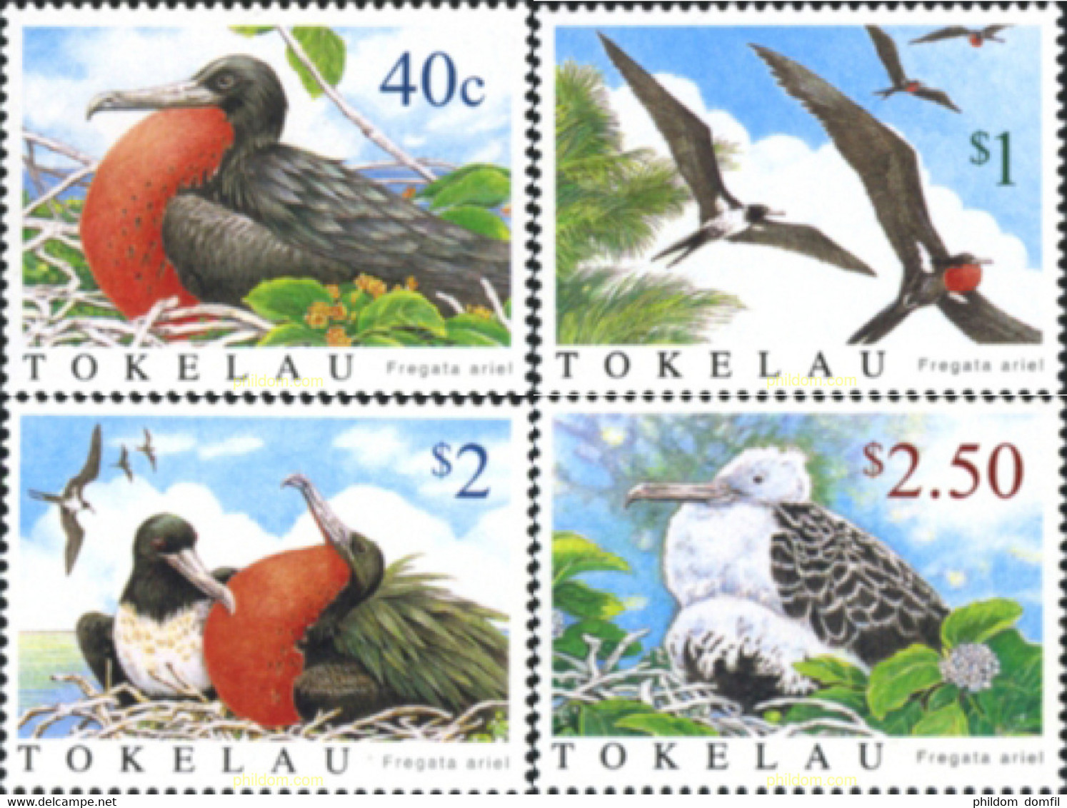 185172 MNH TOKELAU 2004 AVES - Tokelau