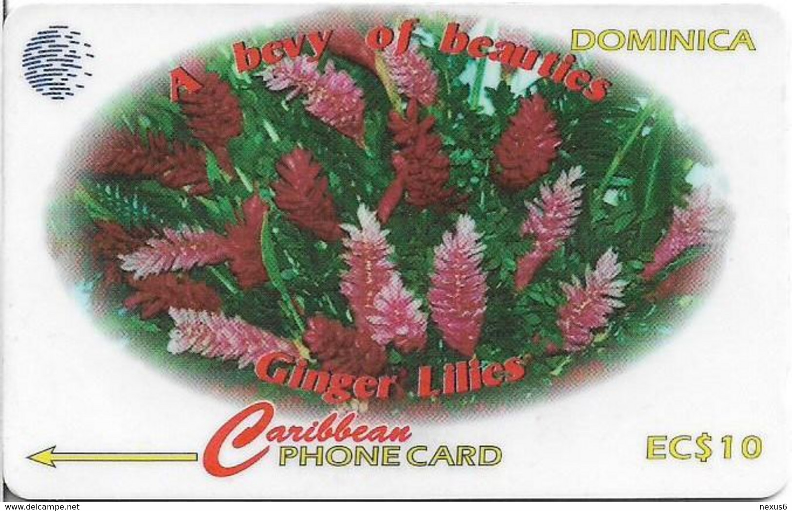 Dominica - C&W (GPT) - Ginger Lillies - 138CDMA (Crossed Ø) - 1997, 50.000ex, Used - Dominique