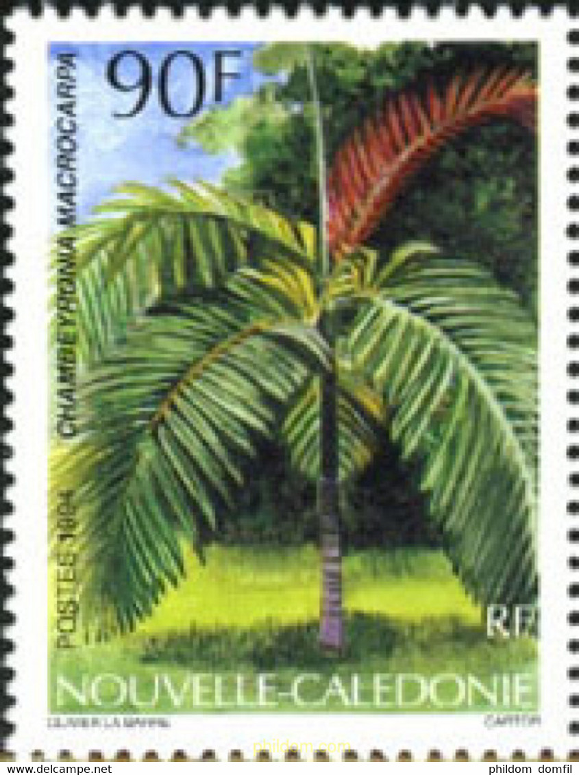 188246 MNH NUEVA CALEDONIA 1994 FLORA INDIGENA. PALMERA - Gebruikt