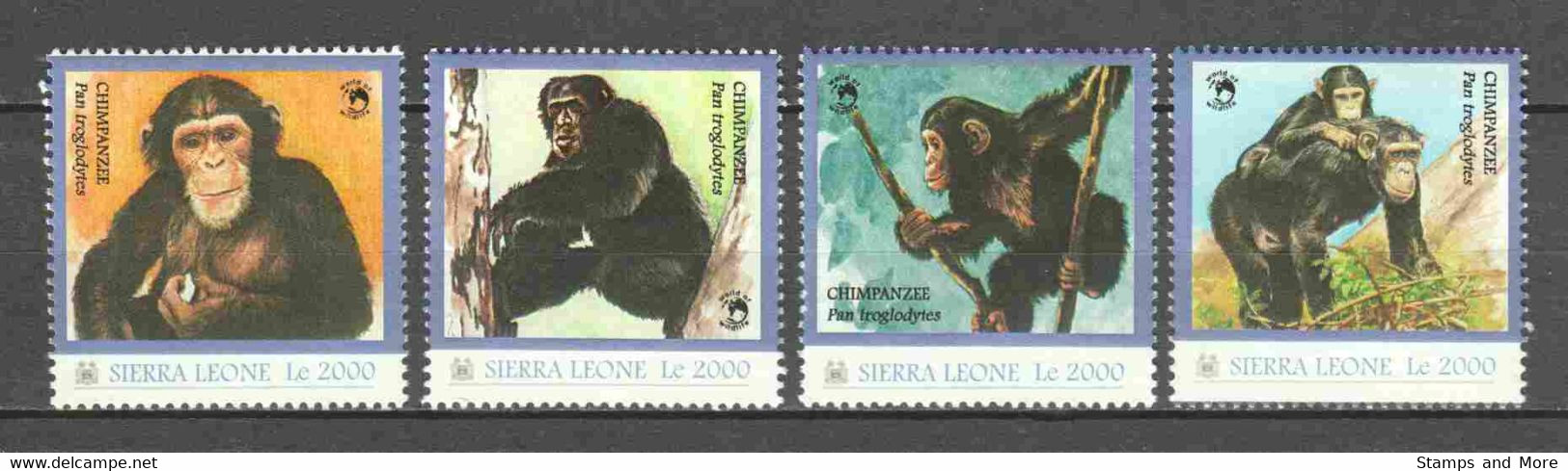 Sierra Leone - MNH Set 1 CHIMPANZEES - Chimpanzees