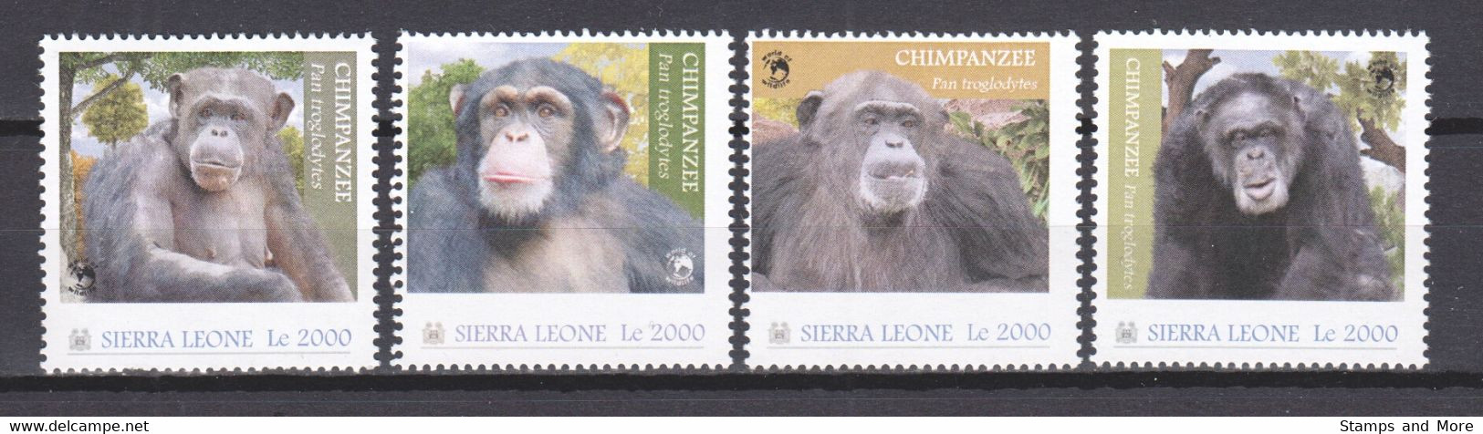 Sierra Leone - MNH Set 2 CHIMPANZEES - Chimpanzees