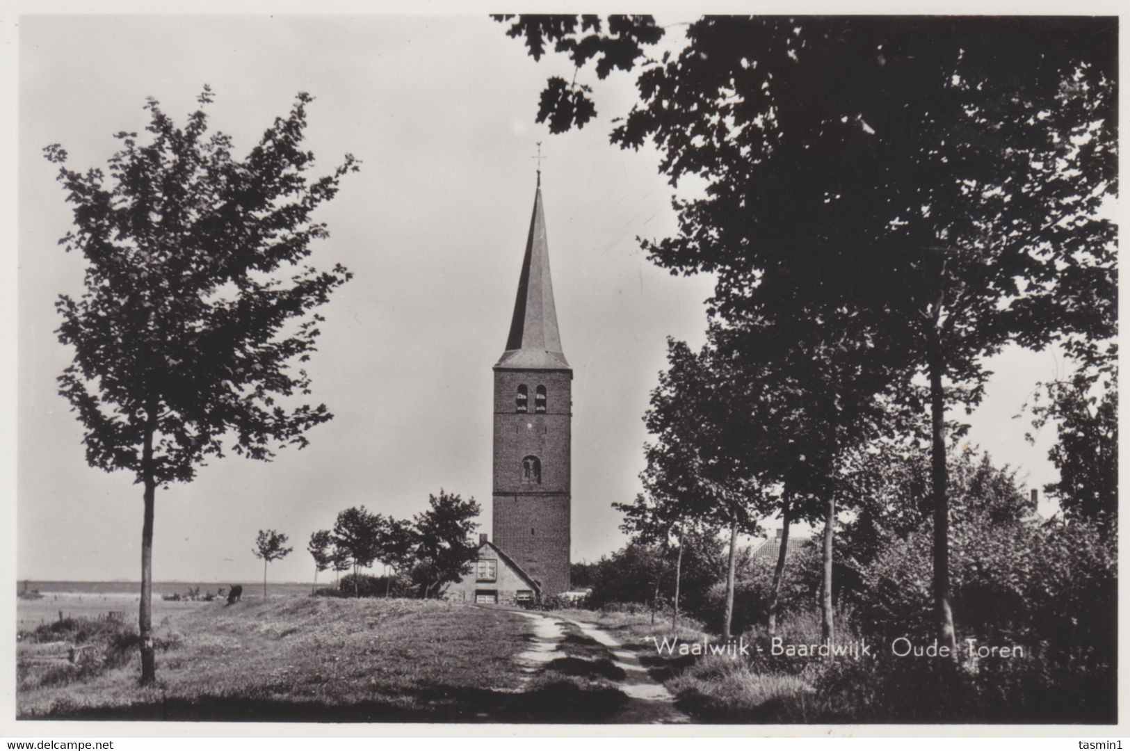 Waalwijk - Baardwijk - Oude Toren - Waalwijk