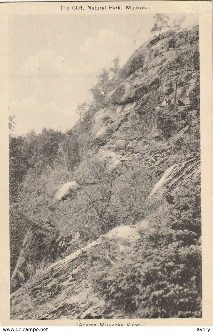 The Cliff, Natural Park, Muskoka, Ontario - Muskoka