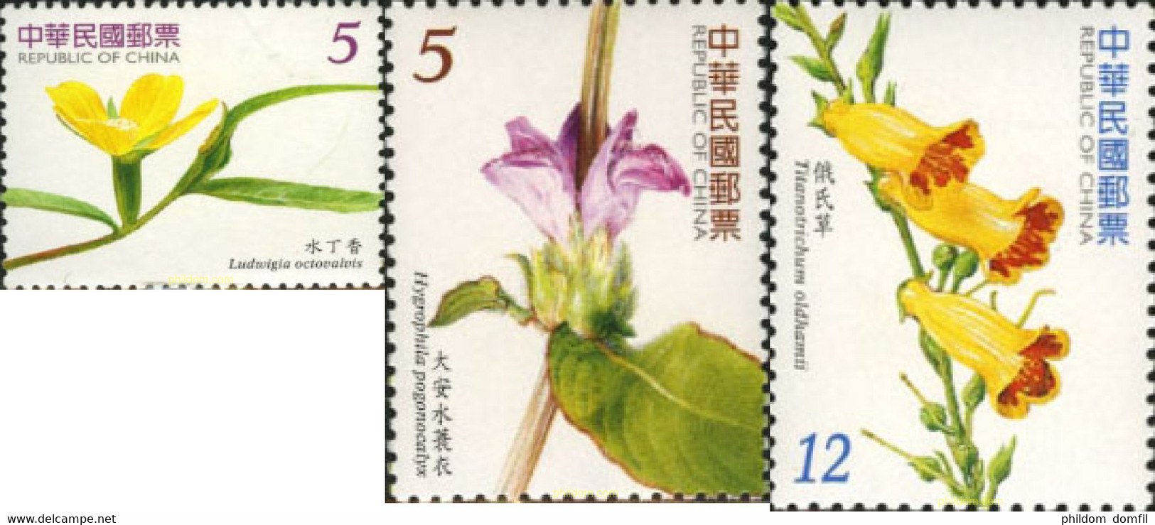 198915 MNH CHINA. FORMOSA-TAIWAN 2006 FLORES - Lots & Serien