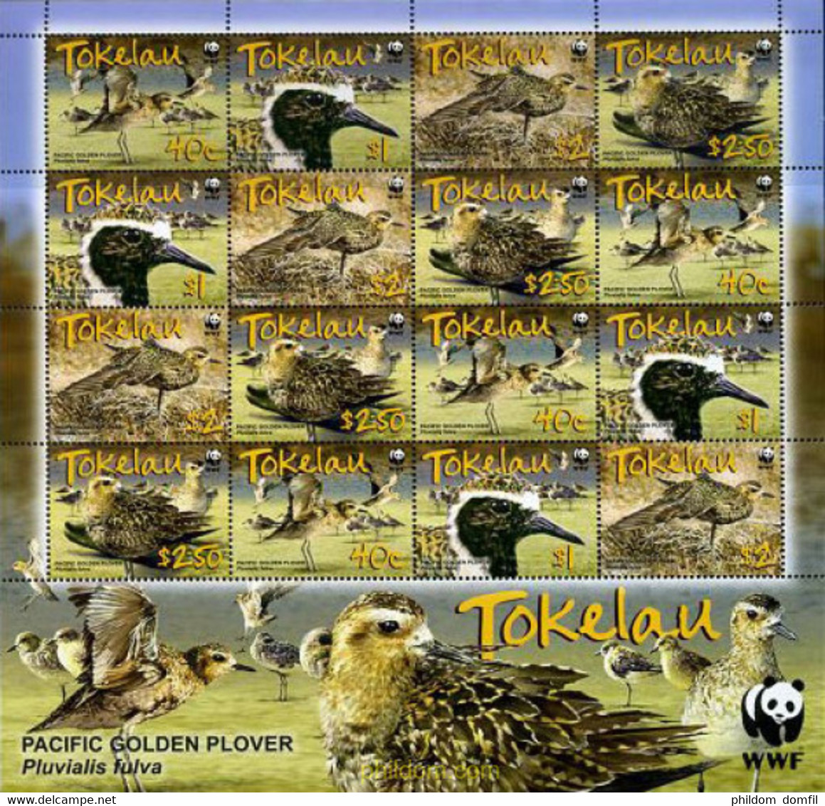 207322 MNH TOKELAU 2007 AVES DEL PACIFICO - Tokelau