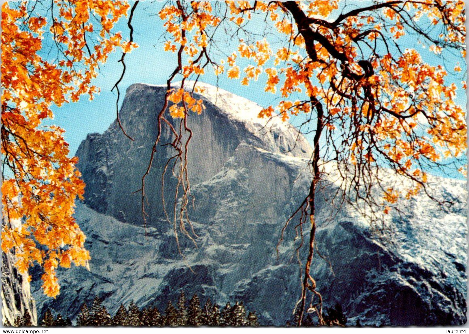 (2 M 8) USA - Yosemite Valley - Yosemite