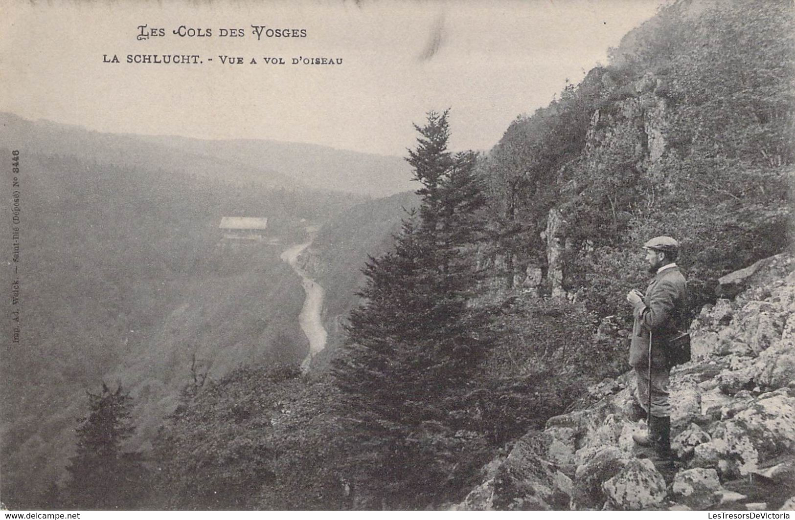 CPA FRANCE - 88 - Col De La Schlucht - Vue à Vol D'oiseau - LES COLS DES VOSGES - Homme Admirant Le Paysage - Otros & Sin Clasificación