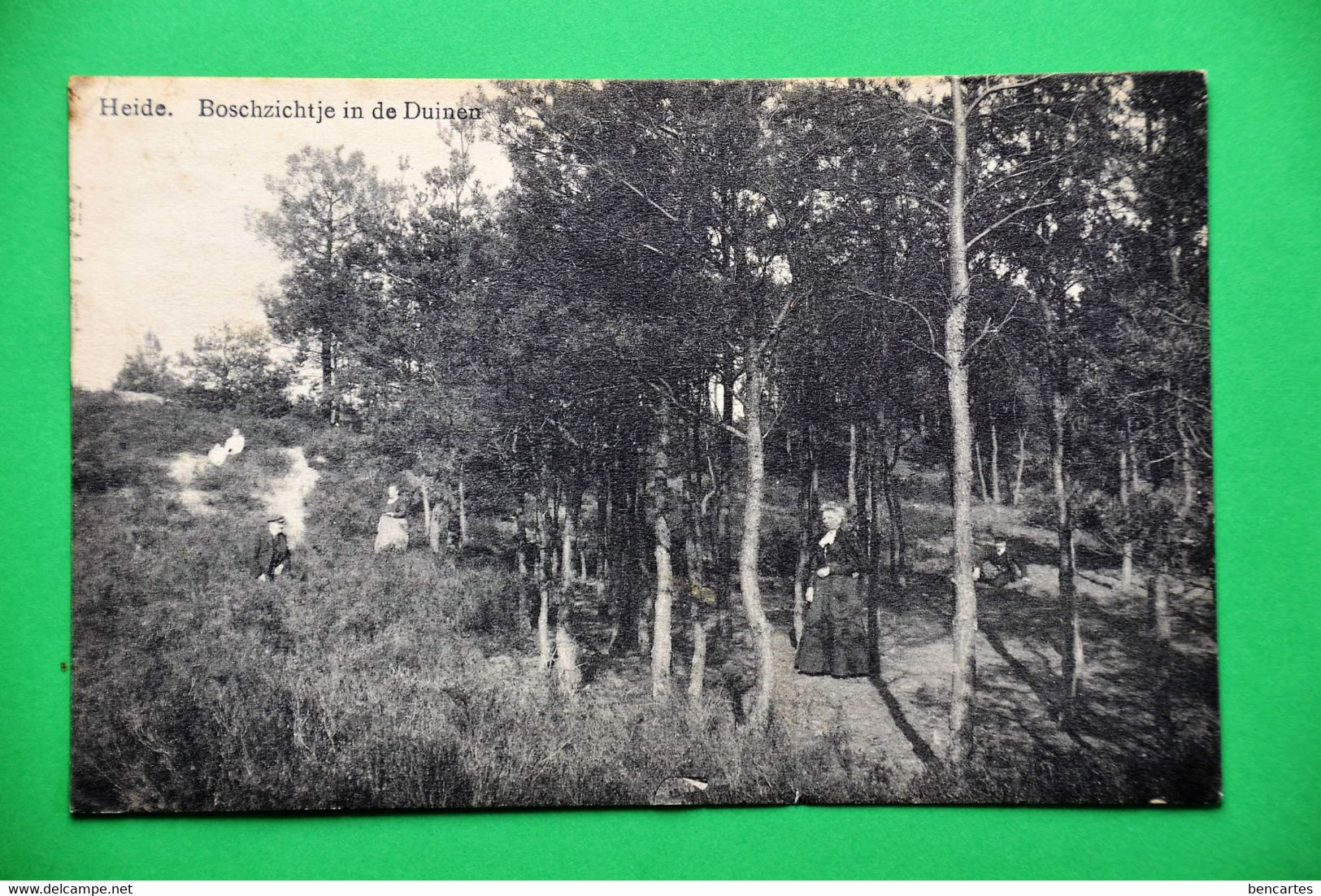 Heide 1910: Boschzicht In De Duinen Animée - Kalmthout