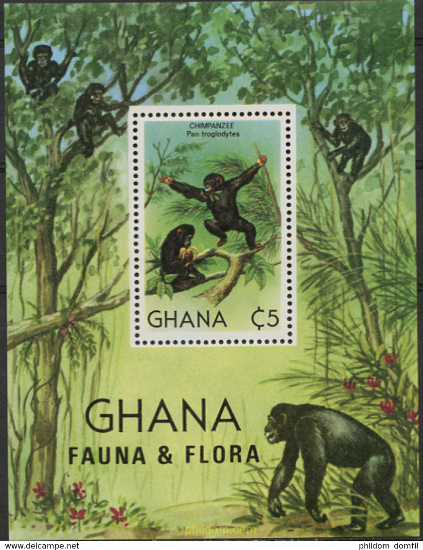 231435 MNH GHANA 1982 FAUNA Y FLORA - Chimpansees