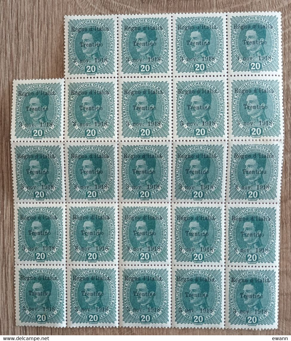 Italie / Trentin - YT N°7 - Bloc De 24 Timbres - 1918 - Neuf - Trento