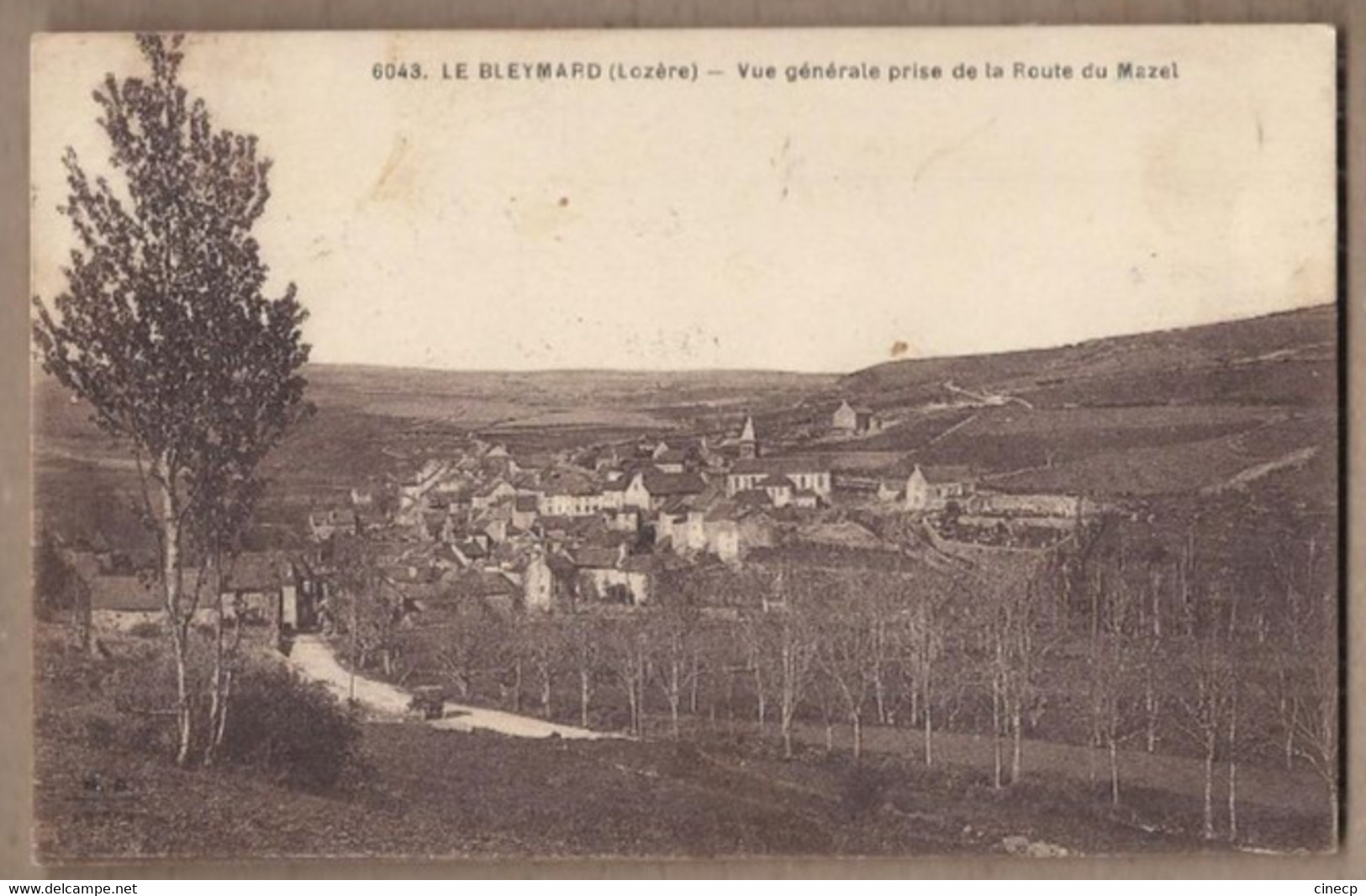 CPA 48 - LE BLEYMARD - Vue Générale Prise De La Route Du Mazel - TB PLAN D'ensemble Perspective De La Route - Le Bleymard