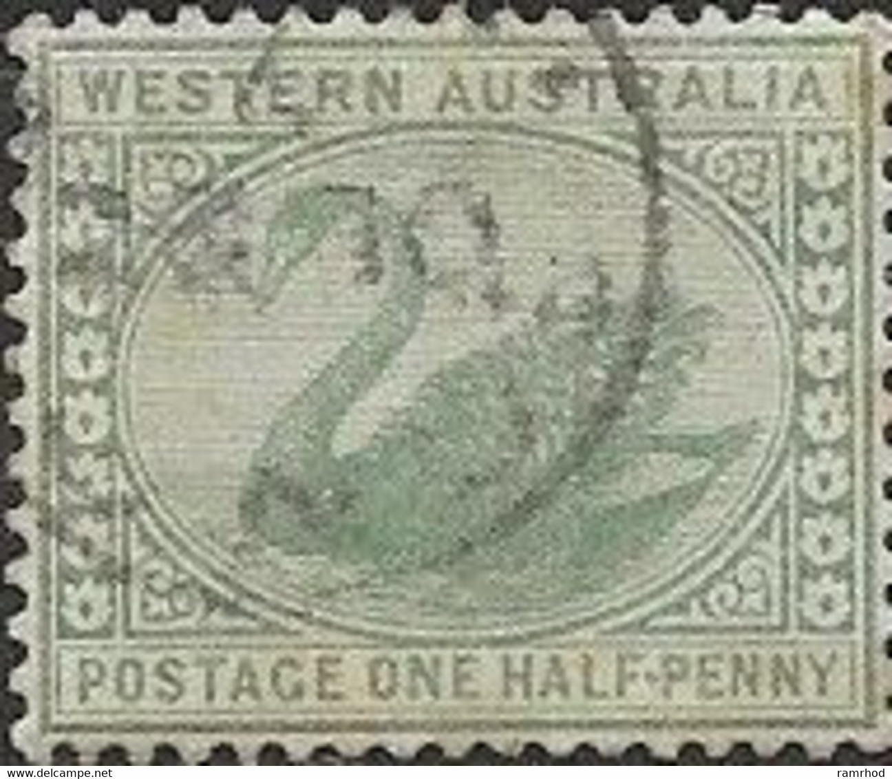 WESTERN AUSTRALIA 1885 Swan - ½d. - Green FU - Usados