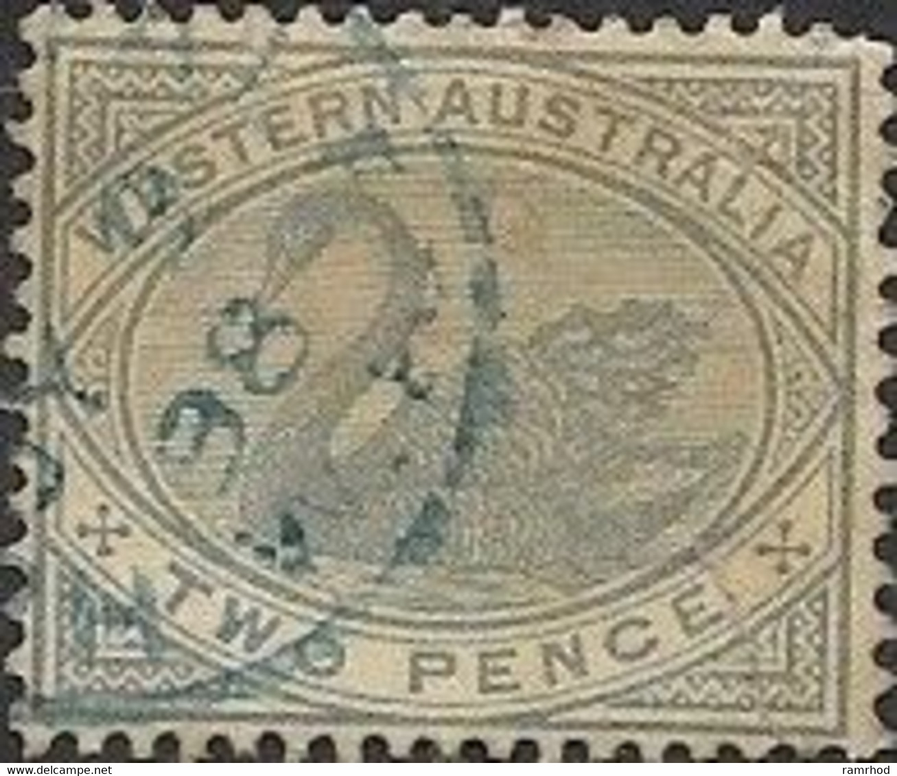 WESTERN AUSTRALIA 1885 Swan - 2d. - Grey FU - Oblitérés