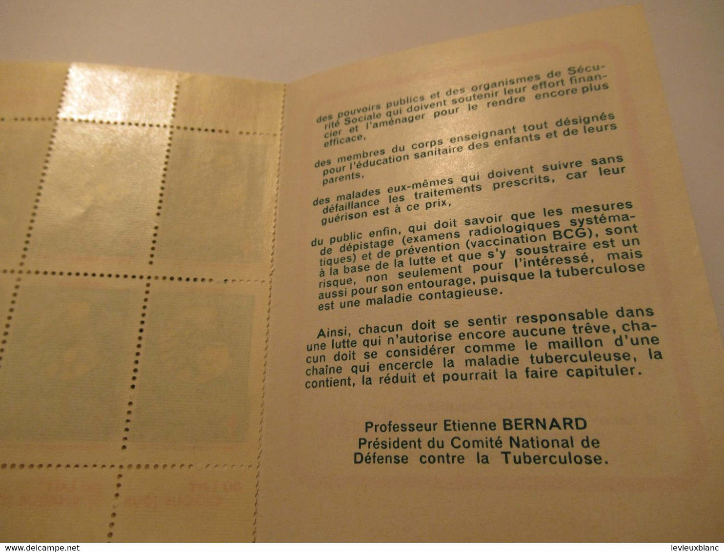 Petit Carnet De 10  Timbres/Comité National De Défense Contre La Tuberculose/du Lait Chaque Jour/1965-66 TIBANTI17 - Krankheiten
