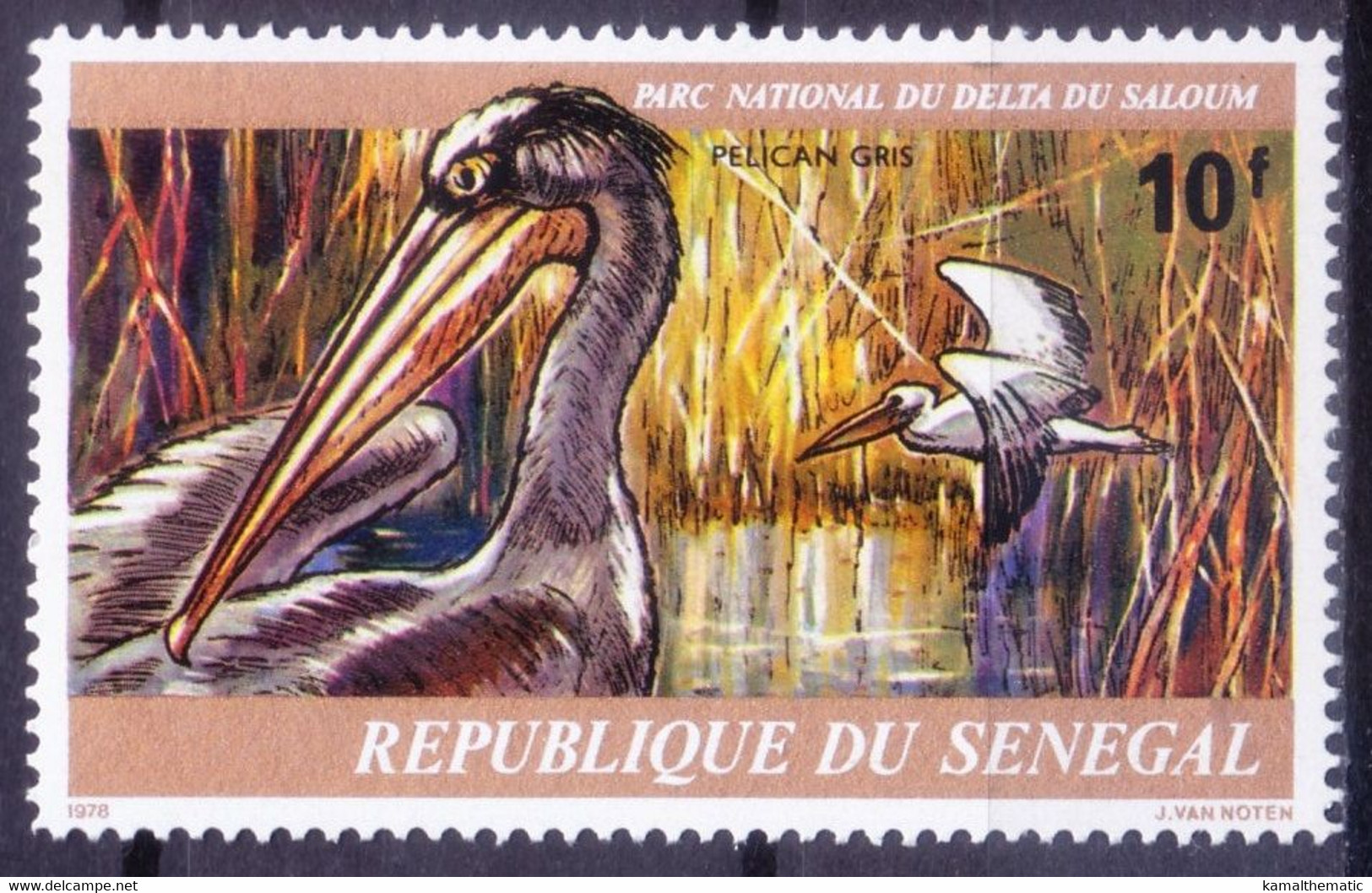 Senegal 1978 MNH, Pink-backed Pelican, Water Birds, Saloum National Park - Pélicans