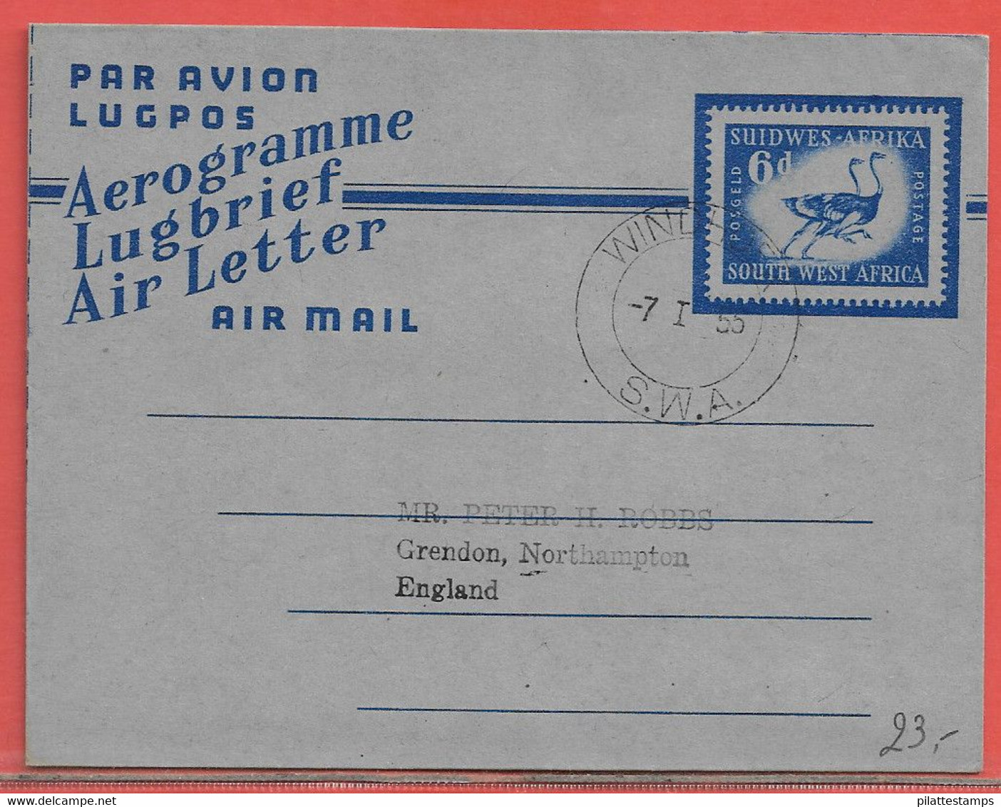 OISEAUX AUTRUCHES SUD OUEST AFRICAIN AEROGRAMME DE 1955 - Straussen- Und Laufvögel