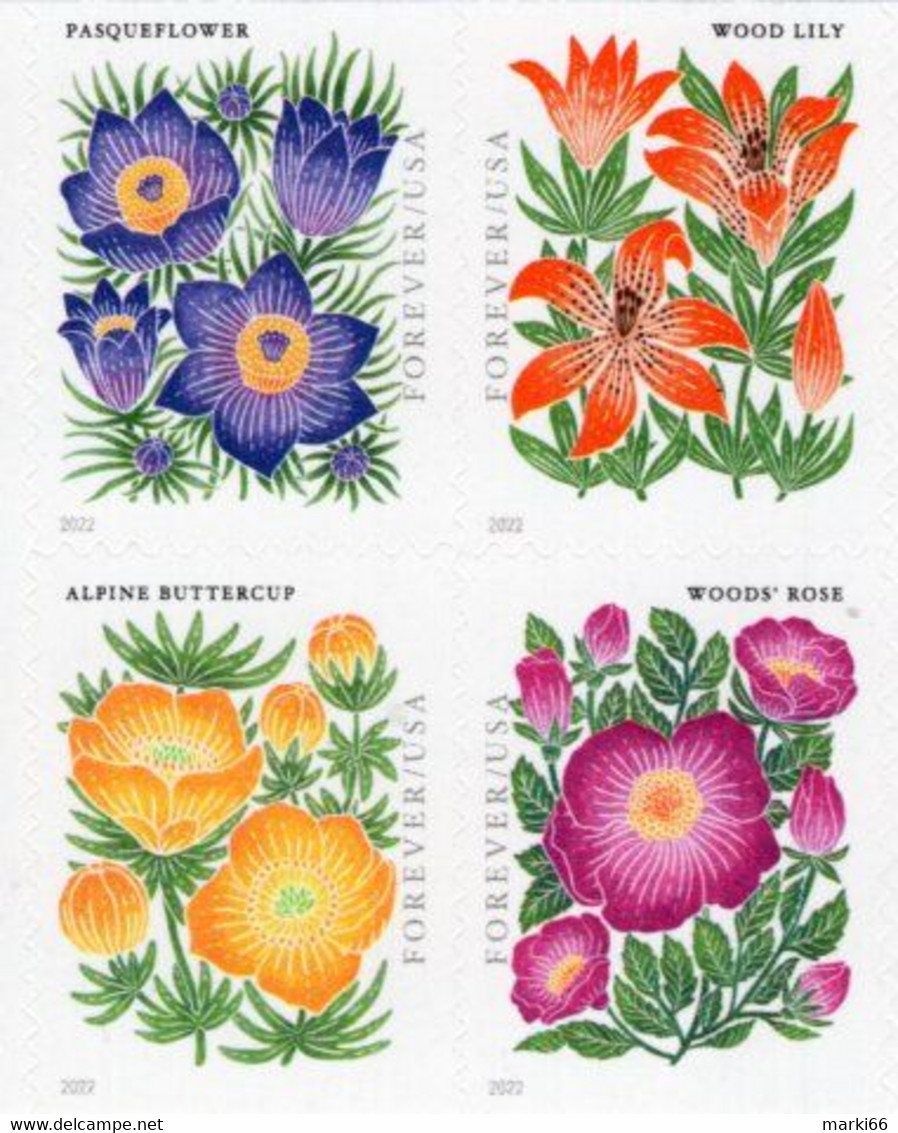 USA - 2022 - Mountain Flora - Mint Self-adhesive Double-sided Booklet Stamp Pane (8 Stamps) - Nuevos