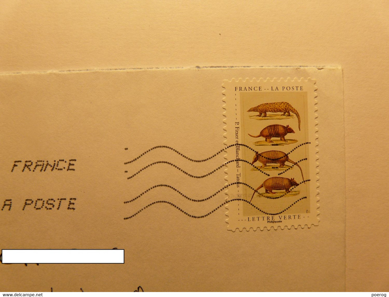 FRANCE - TIMBRE TATOU ARMADILLO SUR ENVELOPPE - 26/02/2021 - 22cmX11cm - TATOU ARMADILLO - Used Stamps