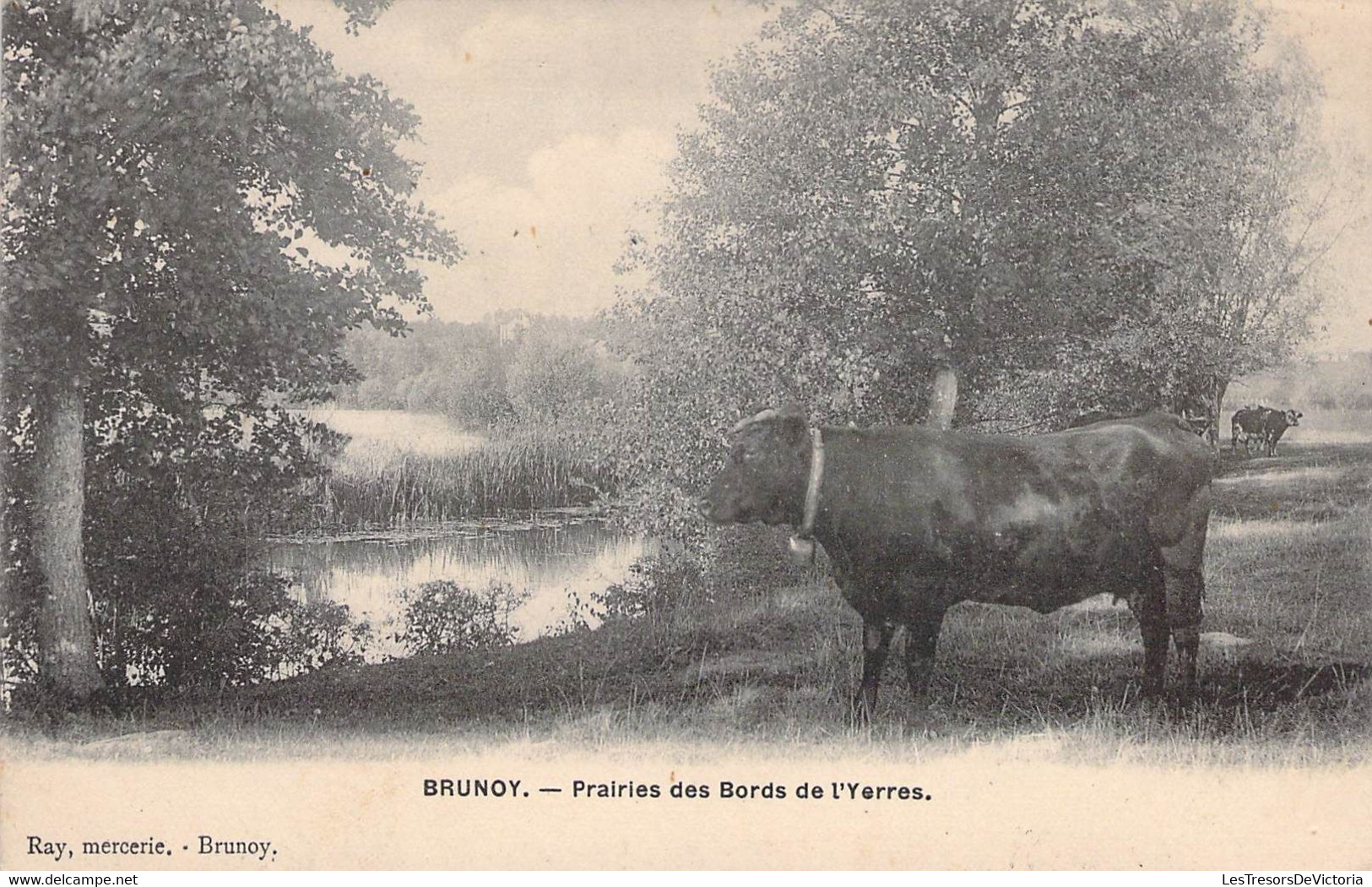 CPA - FRANCE - 91 - BRUNOY - Prairie Du Bord De L'Yerres - Vache - Cloche - Ray Mercerie Brunoy - Brunoy