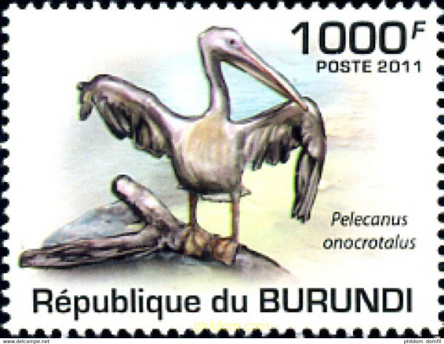 639207 MNH BURUNDI 2011 AVES - Gebruikt