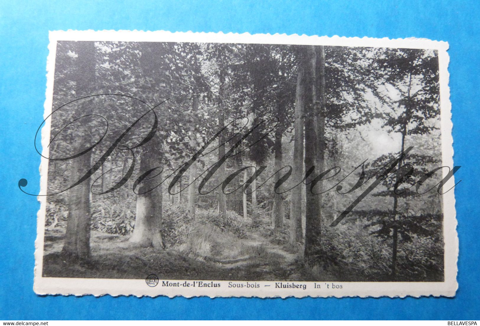 Orroir Kluisberg lot x 26 Postkaarten /cpa