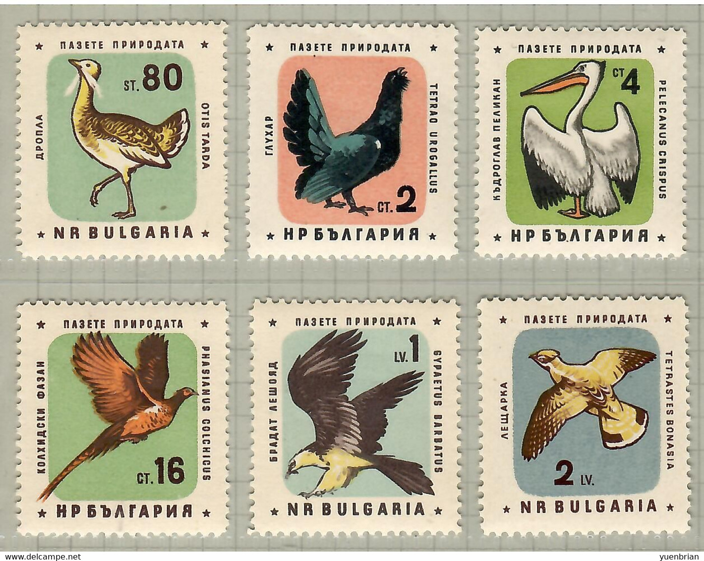 Bulgaria 1961, Bird, Birds, Pelican, Eagle, Pheasant, Set Of 6v, MNH** - Pelicans