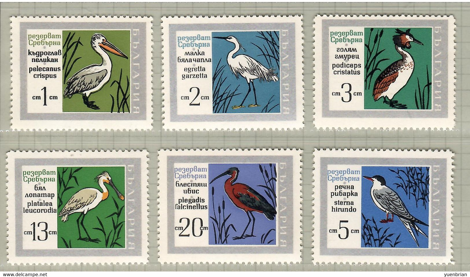 Bulgaria 1968, Bird, Birds, Set Of 6v, MNH** - Pelicans