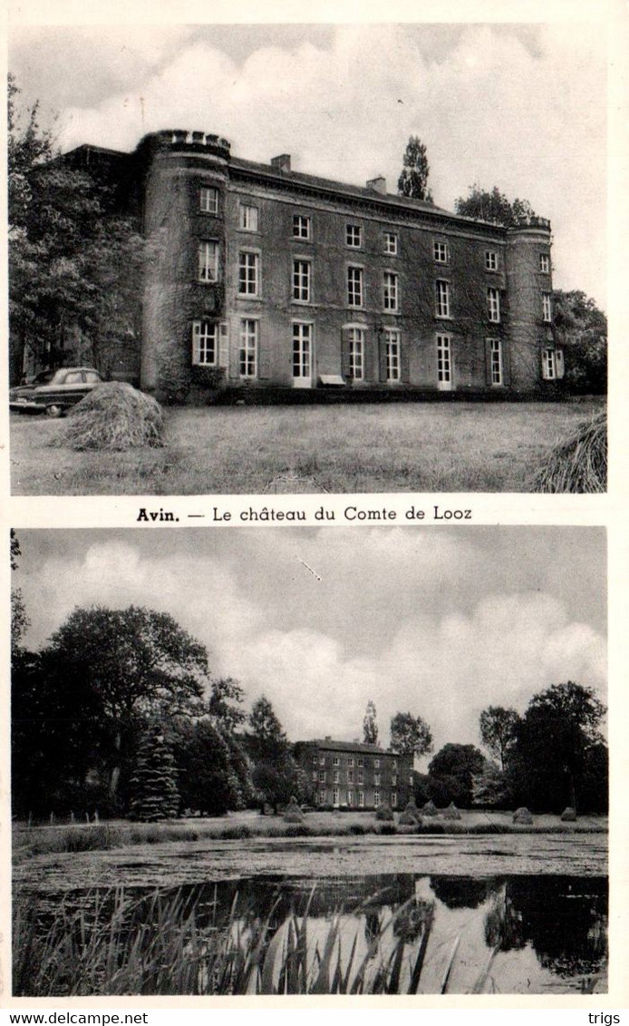 Avin - Le Château Du Comte De Looz - Hannut