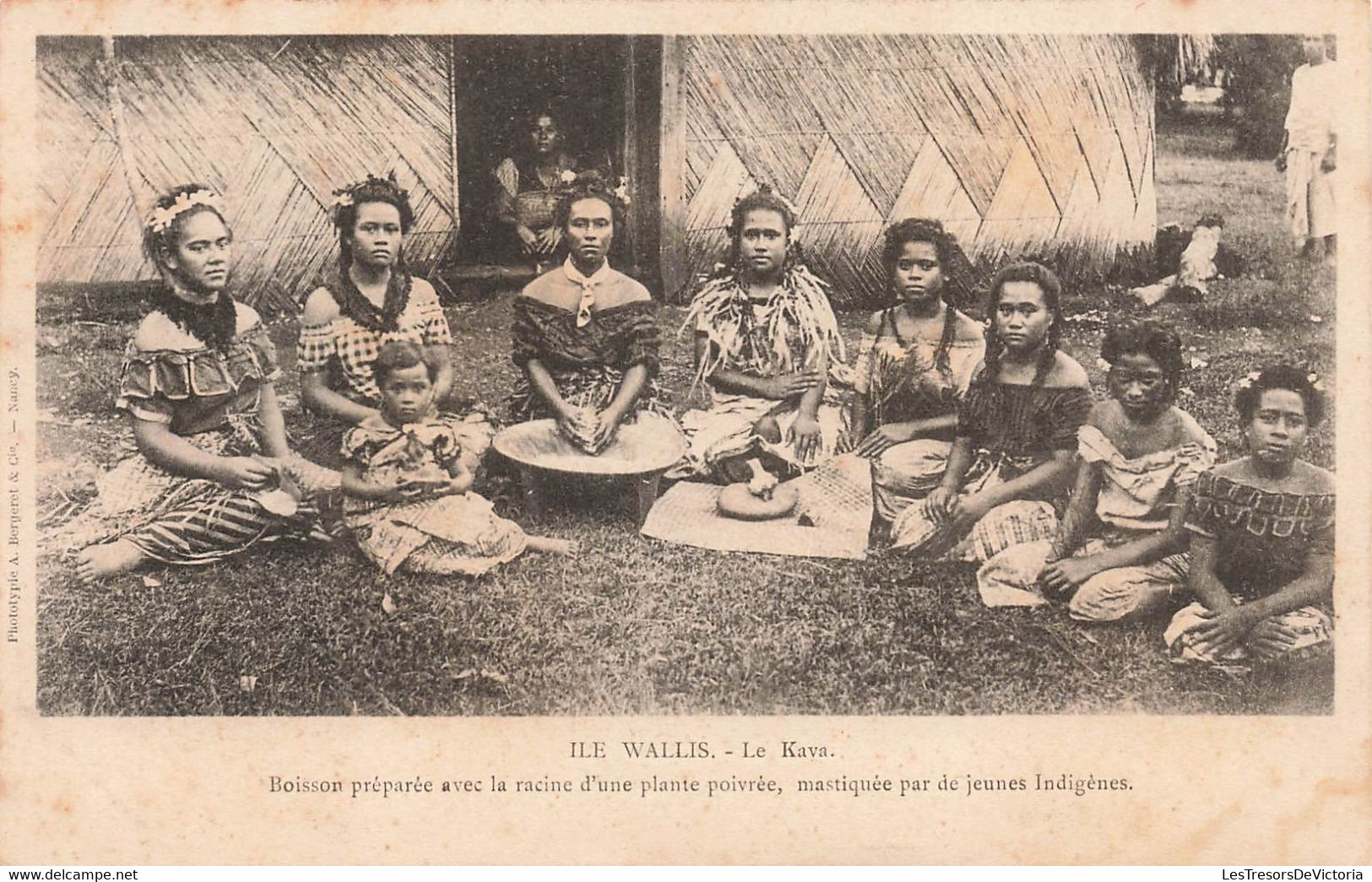 CPA Ile Wallis - Le Kava - Groupe De Femme Wallisiennes - Bergeret - Wallis Und Futuna