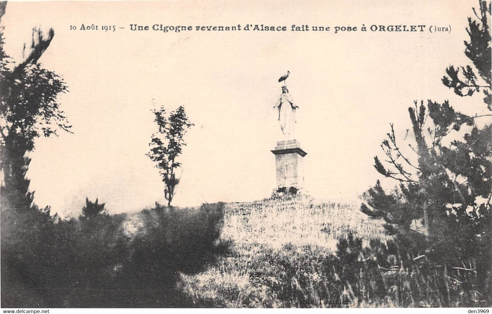 ORGELET (Jura) - Une Cigogne Revenant D'Alsace Fait Une Pose Sur La Statue De La Vierge Le 10 Août 1915 - Guerre 1914-18 - Orgelet