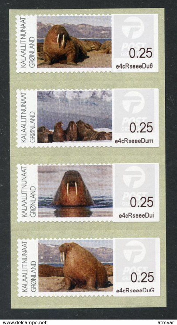 GREENLAND GROENLAND (2022) - ATM Series Greenlandic Walruses, Morsa, Morse, Walrus, Walross, Hvalros, Odobenus Rosmarus - Automatenmarken