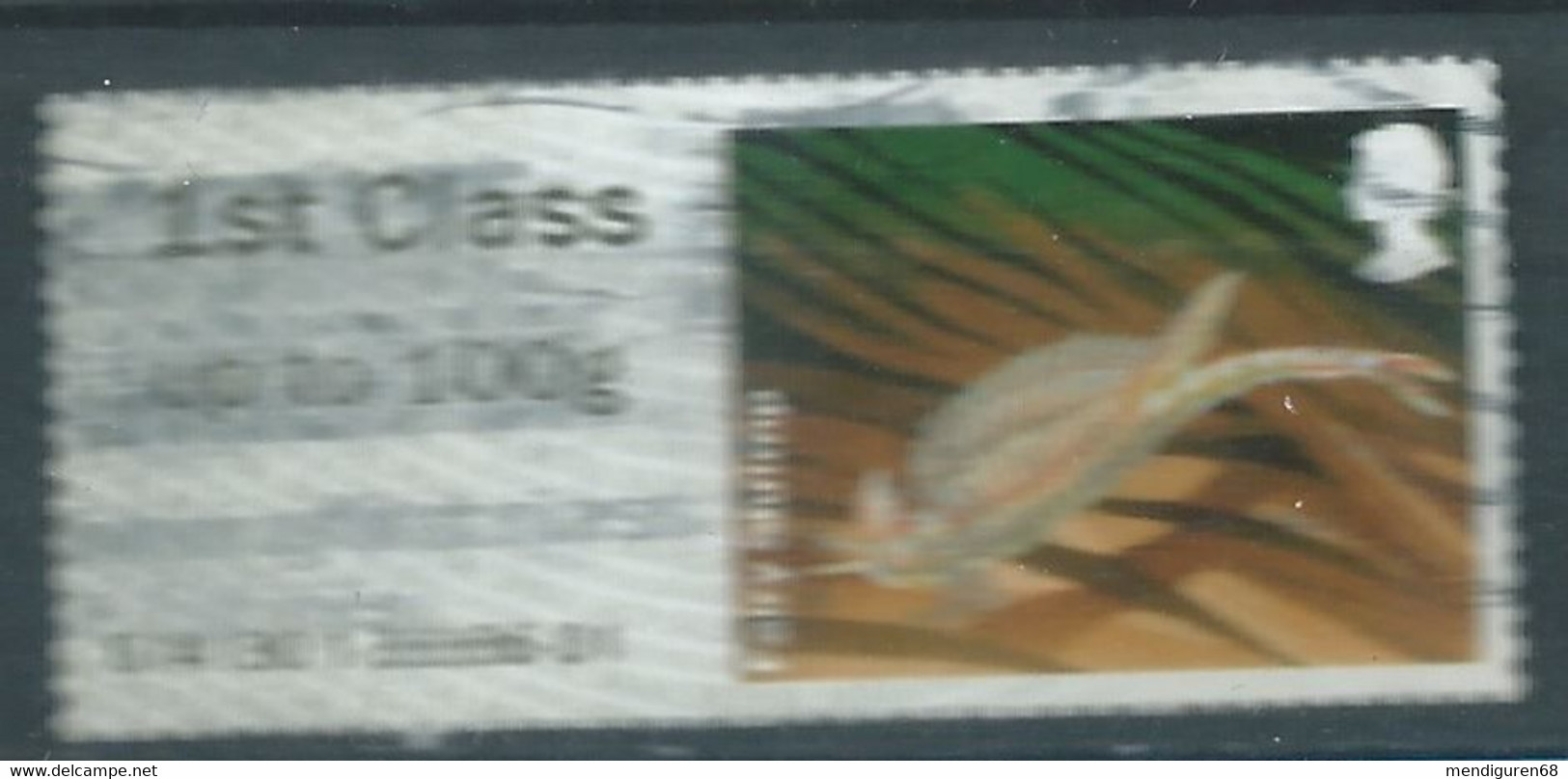 GROSBRITANNIEN GRANDE BRETAGNE GB 2013 POST&GO PONDS:LESSER SILVER WATER BEETLE 1ST  Up To 100g SG FS62 MI ATM51 YT TD49 - Post & Go Stamps