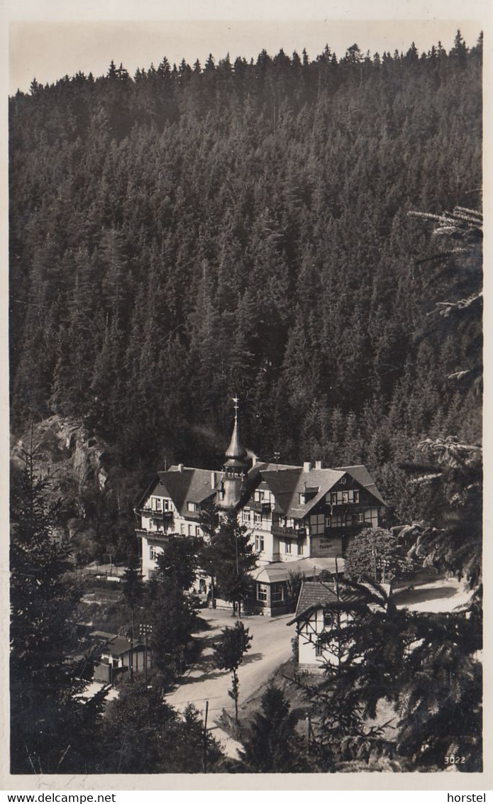 D-95119 Naila - Luftkurort Hölle - Frankenwald - Hotel König David - Stamp 1937 - Naila