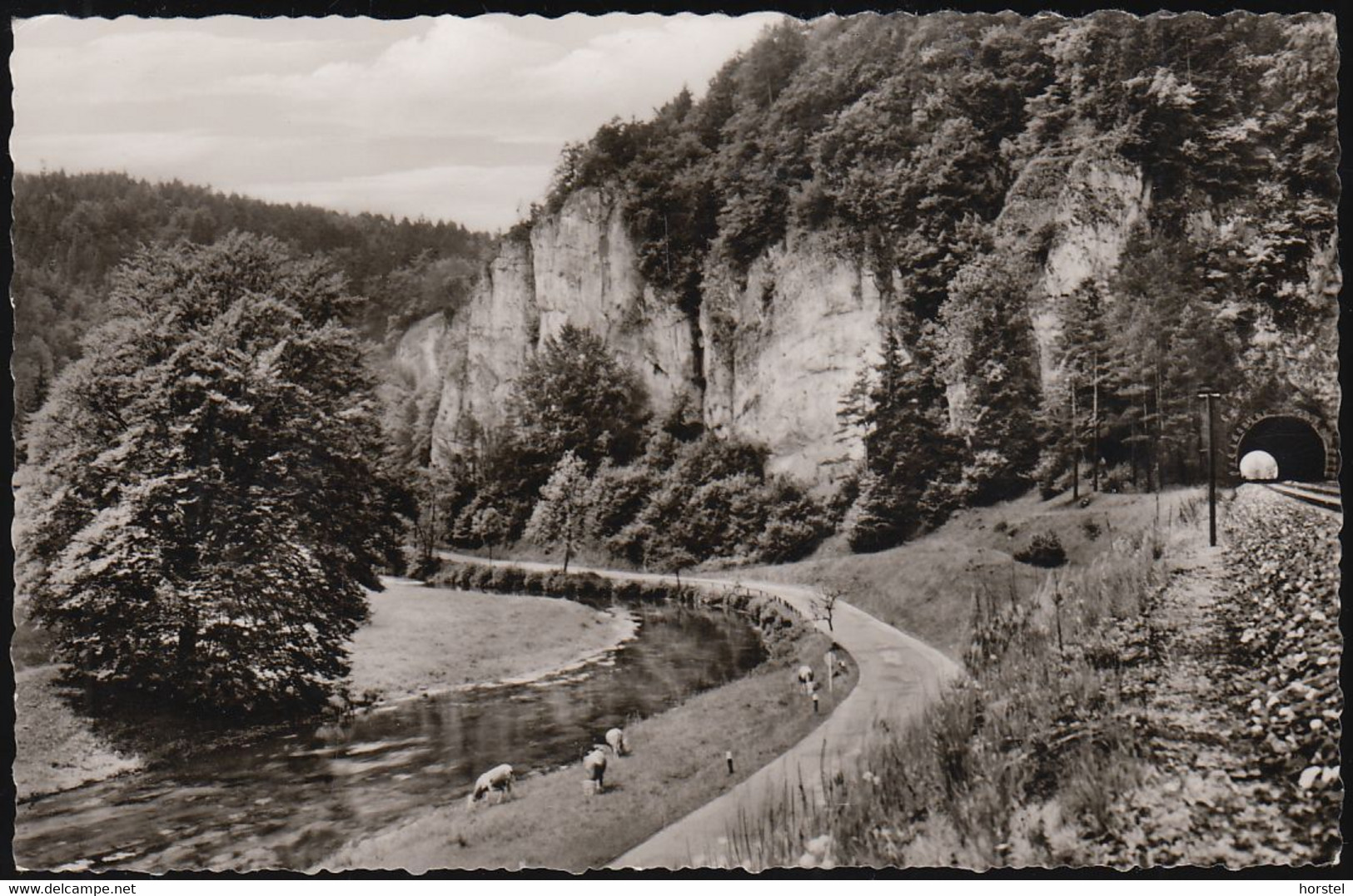 D-91235 Velden Im Pegnitztal - Roter Fels Im Pegnitztal - Eisenbahntunnel ( Echt Foto) - Pegnitz