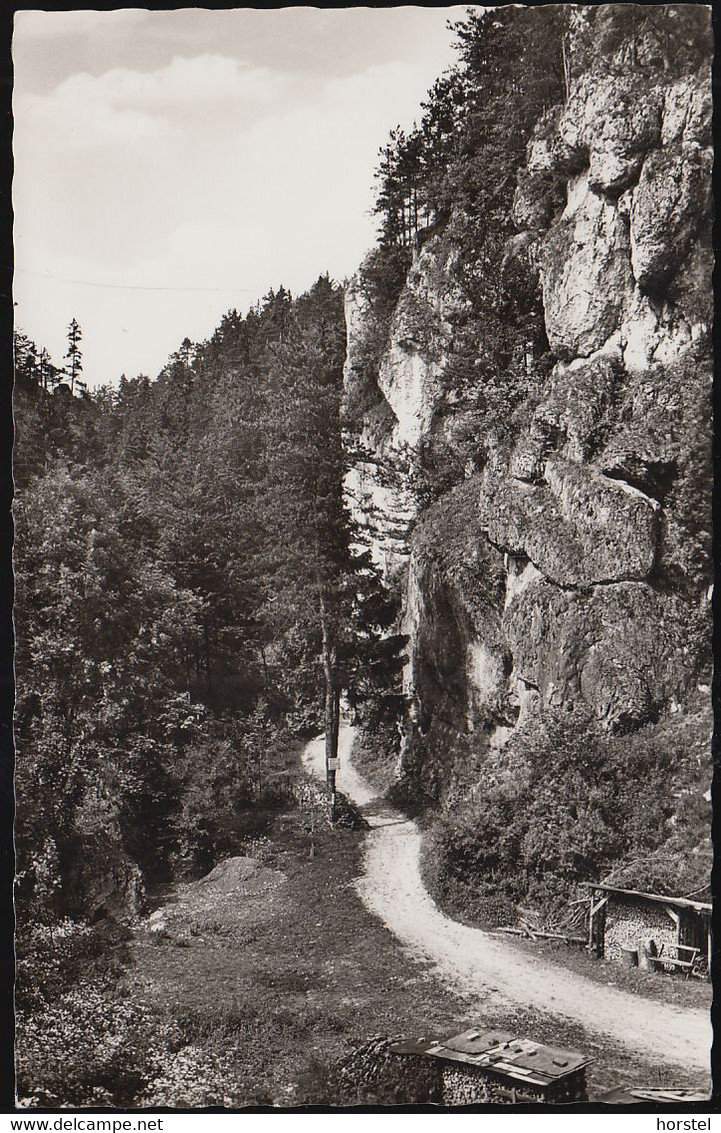 D-91235 Hartenstein - Rupprechtstegen An Der Pegnitz - Eingang Zum Ankatal - Wanderweg - Pegnitz