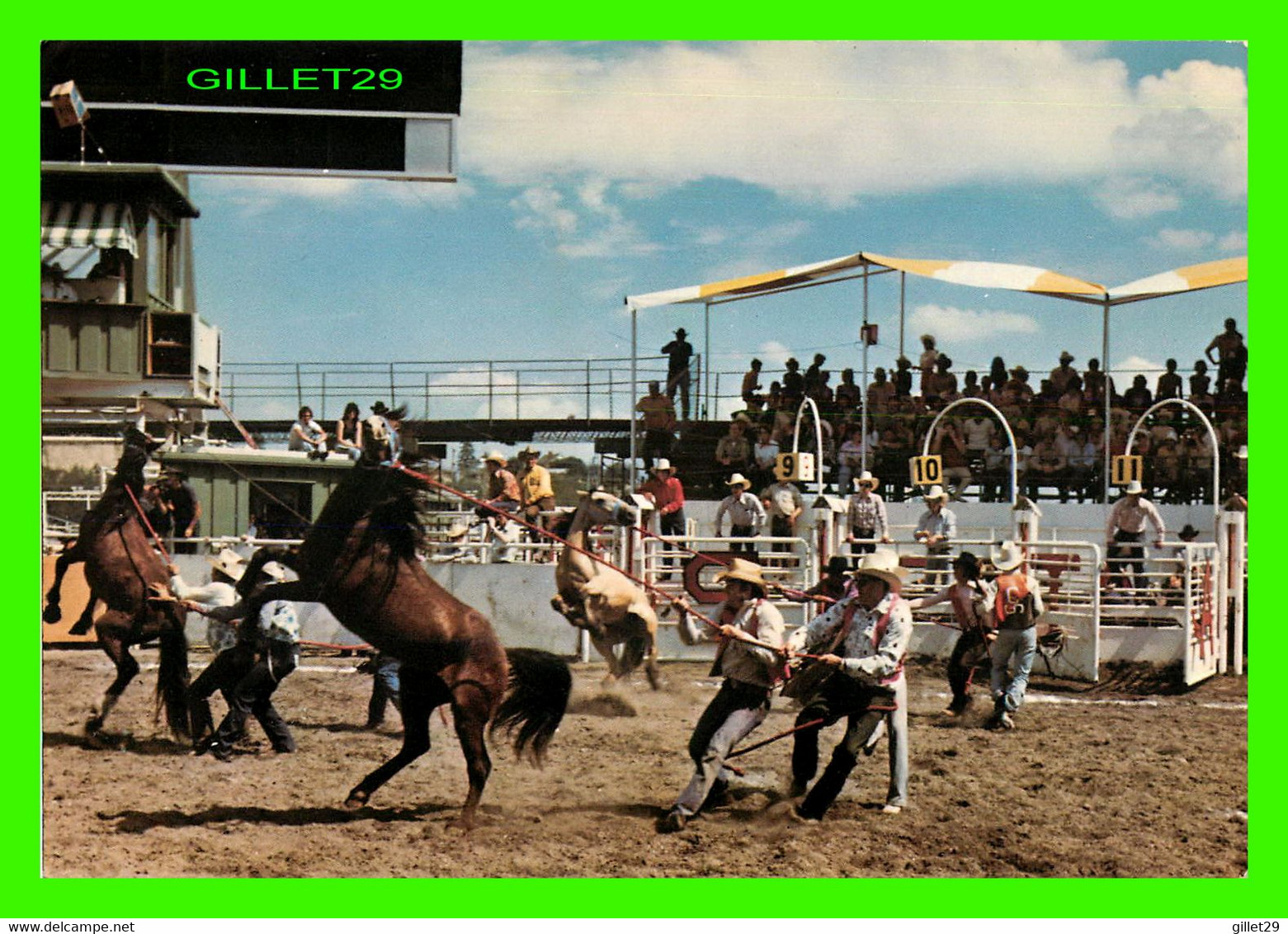 CALGARY, ALBERTA - CALGARY EXHIBITION AND STAMPEDE - TRAVEL IN 1979 - MAJESTIC POST CARD - - Calgary