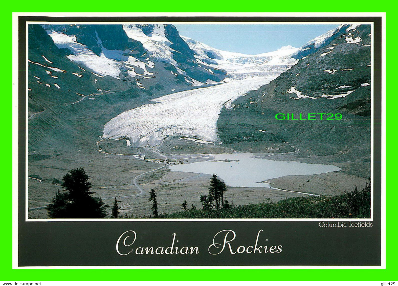 JASPER, ALBERTA - COLUMBIA ICEFIELDS, NATIONAL PARK - TRAVEL IN 1991 - PHOTO BY TOKIO ONISHI - - Jasper