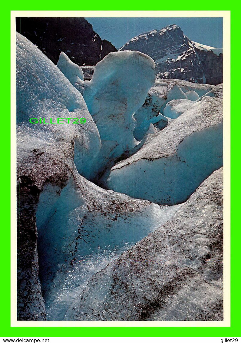 JASPER, ALBERTA - CREVASSE ATHABASCA GLACIER, JASPER NATIONAL PARK - PHOTO, DON HARMON - - - Jasper