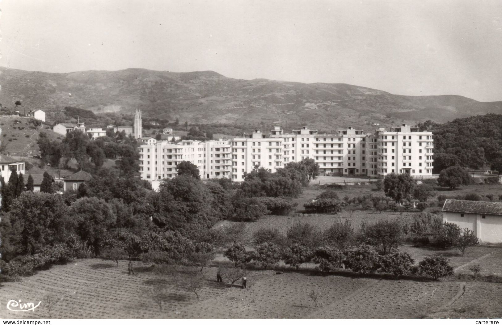 AFRIQUE DU NORD,ALGERIE,BONE,ANNABA,CONSTANTINE,MENADIA,IMMEUBLE,TERRE,TERRAIN AGRICOLE - Annaba (Bône)