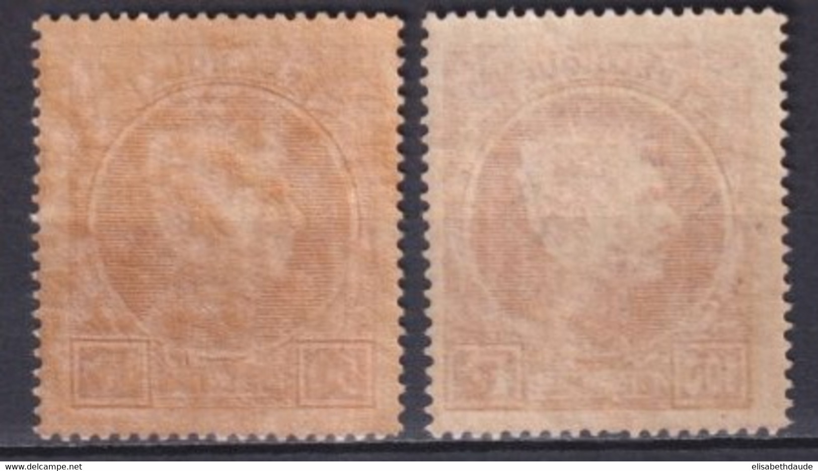 BELGIQUE - 1929 - YVERT N°291A CARMIN ! /292A ** MNH PAPIER TEINTE - - 1929-1941 Grand Montenez